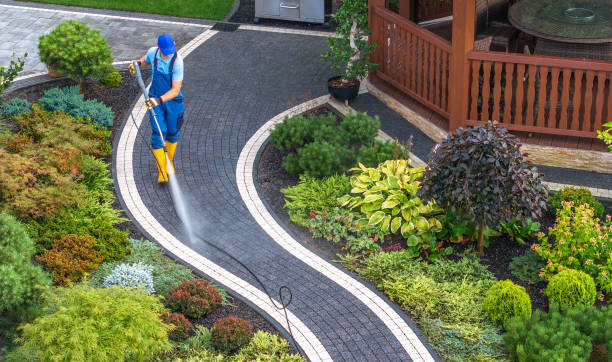 Best Roof Power Washing Services  in Gurnee, IL